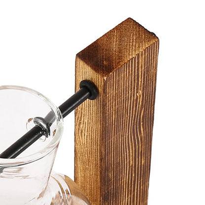 Hanging Hydroponic Plant Vase - Ethnika-Time