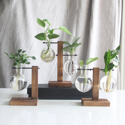 Hanging Hydroponic Plant Vase - Ethnika-Time