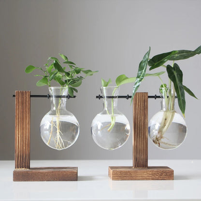 Hanging Hydroponic Plant Vase - Ethnika-Time