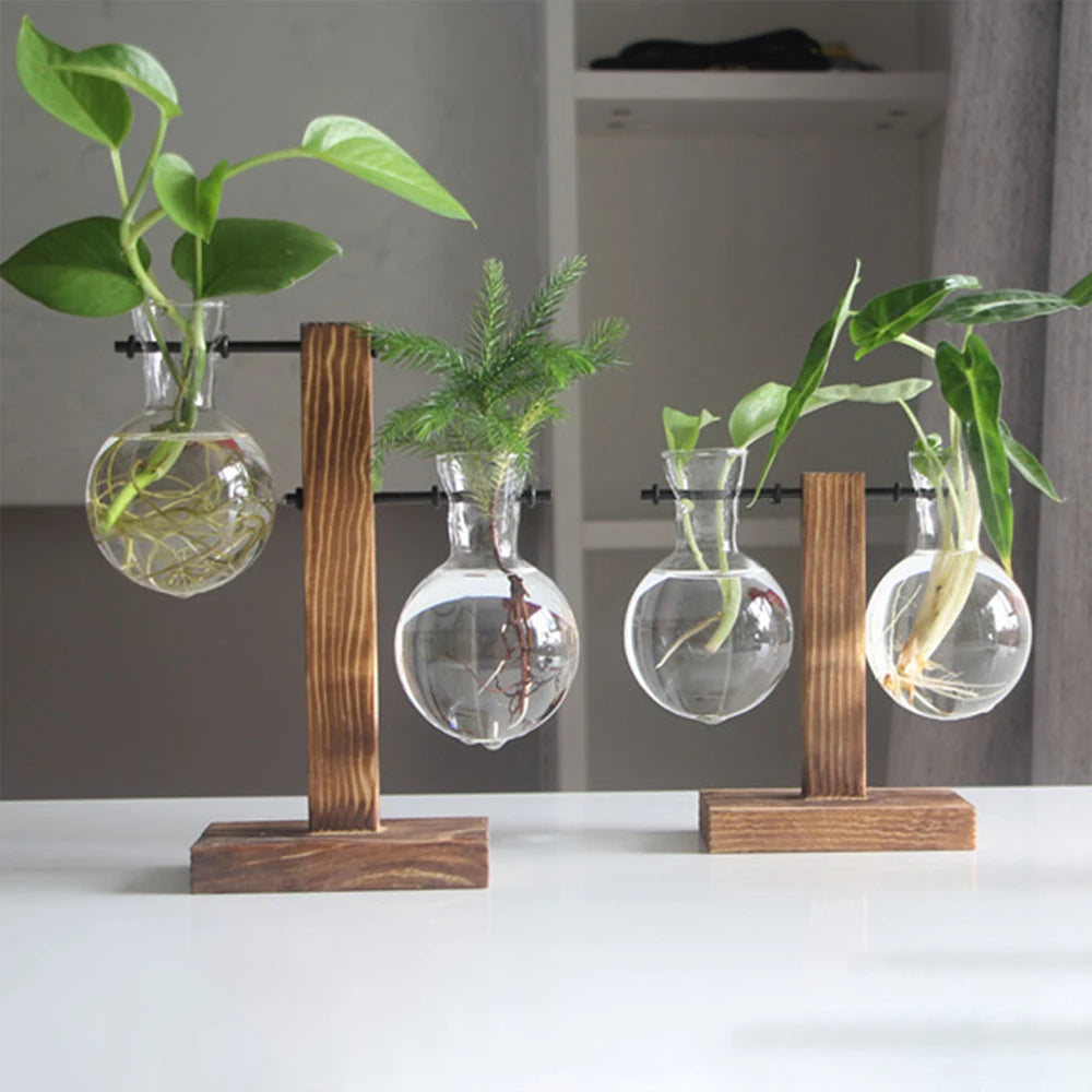 Hanging Hydroponic Plant Vase - Ethnika-Time